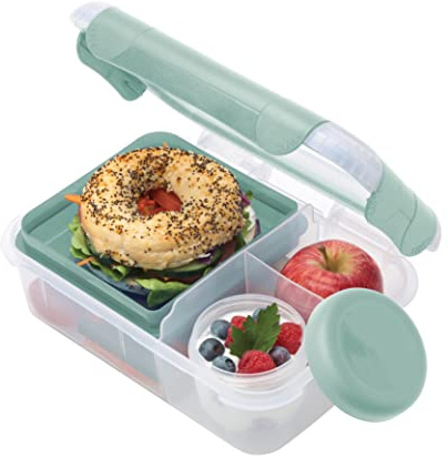 Smash Bento Safe Lunch Box, Fern Green, 1.6 Liter Capacity