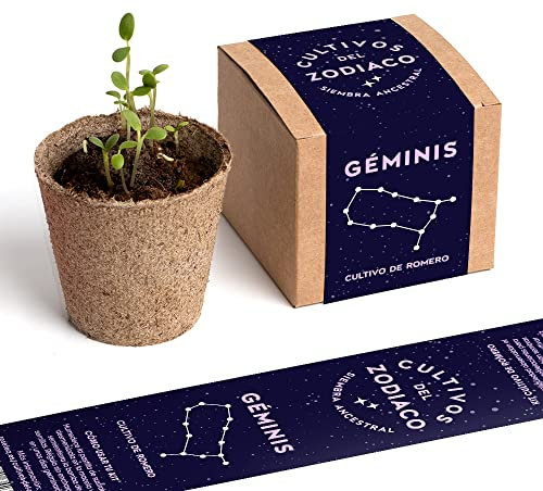 Cultivos del Zodiaco - Géminis | Semillas de Romero | Kit de cultivo con bomba de semillas, sustrato y maceta | Regalo original para amantes del horóscopo | Resetea