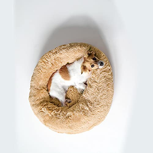 Italian Bed Linen Hundebett “Dreams, Vanille, 50x50x20 cm