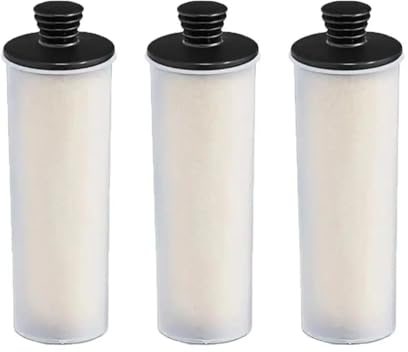 ECWRWWGI Varilla de Filtro descalcificador, Compatible con Karcher SC 2U SC2UP SC3 SC3U SC3UP Vertical Premium Series Piezas de Limpiador a Vapor Accesorios Filtro Hepa (Color : 3pcs)