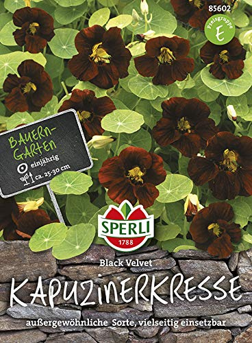Sperli 85602 Capucine Black Velvet (graines de capucine)