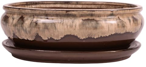 Bonsai - Schale oval 30.5x24.5x10.5 cm beige/braun mit Untersetzer
