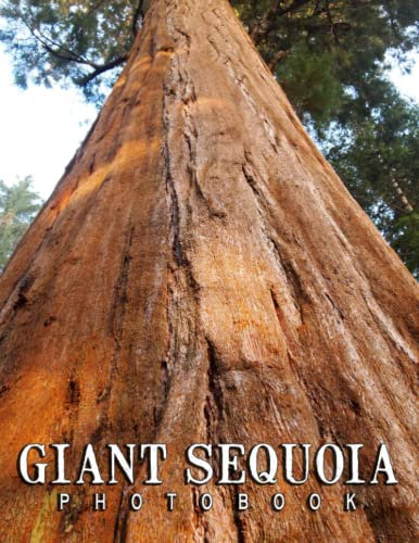 A Photo Book Of Giant Sequoia: An Album Consist Of Compelling Photos Collection Of Giant Sequoia With High Quality Images As A Special Gift For Friends, Family, Lovers, Relative