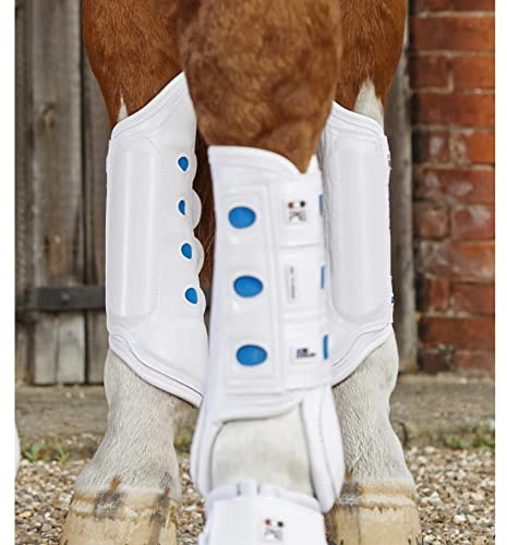 Premier Equine Hintere Gamaschen für Pferde Air Cooled Original Eventing