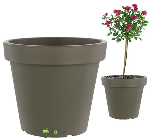 botle Grand pot de fleurs - 55 litres - 58 x 53 cm - Gris pierre - Pour arbres de jardin en croissance - Idéal pour les plantes greffées sur un tronc - Pot de fleurs en plastique