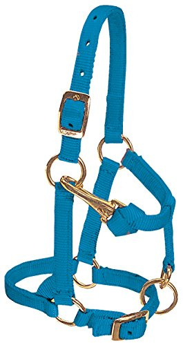 Weaver Cuero Caballo Miniatura de Nylon Ajustable Cabestro, n/a, Azul (Hurricane Blue)