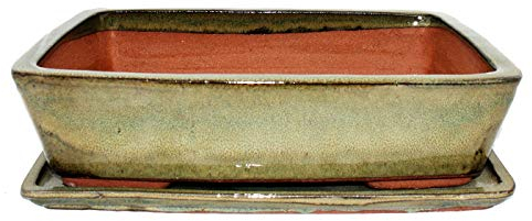 bonsaï Bol avec soucoupe gr. 5 – Rectangulaire G30 – Olive-brown – L 32 cm – L 24,5 cm – H 8 cm