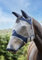 LeMieux Horse Armour Shield Fliegenmaske in Marineblau mit weichem Bambusfutter - UV schützendes & atmungsaktives Mesh - XL