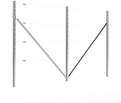 Kiwiri RANKI ™ - Rankhilfe für Kletterpflanzen - Spalier auf Plantagenstandard für Wein, Kiwi, Kiwibeeren, Rosen, Clematis, Spalierobst (2-Feld (4 Meter))