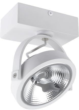 LEDKIA LIGHTING Faretto LED 15W CREE da Superficie Orientabile AR111 Regolabile Bianco 4000K Bianco Naturale