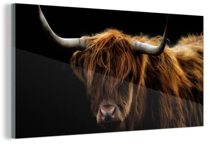 MuchoWow Glasbild Glasfoto Wandbild Bilder Deko 160x80 cm Schottischer Highlander - Hörner - Schwarz - Tiere - Natur - Wild - Kuh