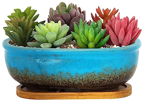 Suckulentkruka, 20 cm, lång rektangulär, grund keramikkruka med dräneringsbricka, för inomhusväxter, kaktusar, glaserade krukor för bonsai, blommande växt, för fönsterbrädor, dekor