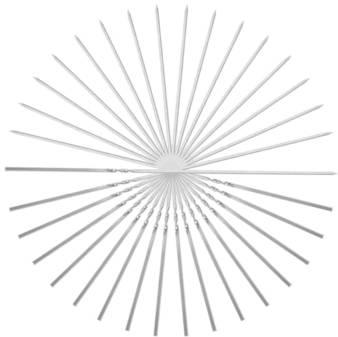 Alipis 20 Pezzi Spiedini In Acciaio Per Barbecue Piccoli Spiedini Spiedini In Metallo Spiedini Per Griglia All'Aperto Barbecue Stick Spiedini Di Antipasti Spiedo In Metallo Spiedini Di