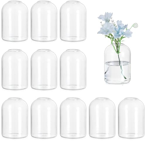 Hewory Små vaser för bordsdekoration bröllop: set med 12 vaser, rund glasvas för bröllopsdekoration, bord – söt blomvas, modern liten glasvas för Kawaii dekoration, vardagsrum, bröllop, fest,