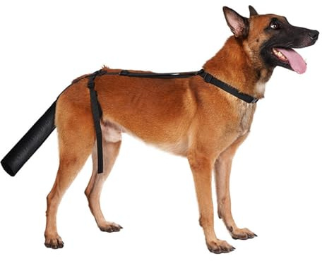CiCixixi Hundeschwanz Schutz, Hundeschwanzabdeckung für Wunden, Hundeschwanzschutz Für MittelgroßE Und GroßE Hunde, Schwanz-Wundschutz FüR Haustiere Und Tiere, Schwarz (L)