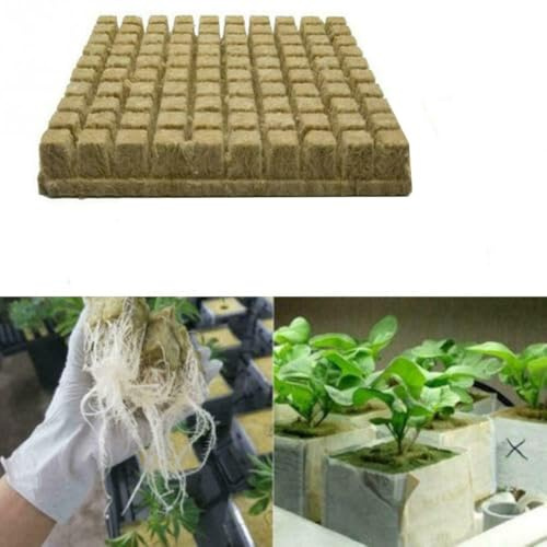 Lot de 50 cubes de culture pour plantes - Pour le démarrage de plantes, les boutures de racines, la croissance des serres sans sol