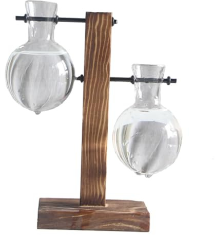 TOBBOMEY Hydrokultur Glas Pflanzentopf Mit Holzständer Für Desktop Anlage Terrarium Wasserpflanz Gefäß Einfach Wasserwechseln
