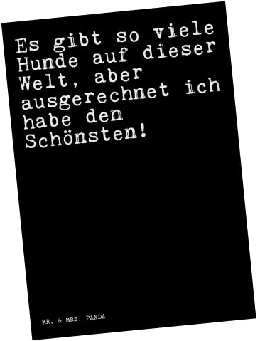 Mr. & Mrs. Panda Postkarte Es gibt so viele... - Geschenk, Sprüche, Herrchen, Postkarten, Herz, Ansichtskarte, Spruch Weisheiten Zitate Lustig Weisheit Worte, Grußkarte, bildkarte, Fotokarte, Hund