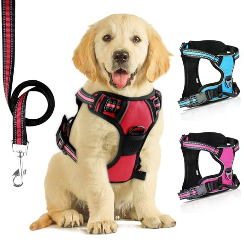 SIBOTER Pettorina Cane, Pettorina Regolabile per Cane di Taglia Media e Piccola con Guinzaglio, Traspirante, Antifuga, per la Corsa, Passeggiate, Jogging (S, Rosso)
