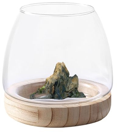 ETUCYNG Boccia per Pesci Vaso per Acquario Vaso Idroponico Terrario in Vetro con Base in Legno per Centrotavola Scrivania Casa Decorazioni Floreali