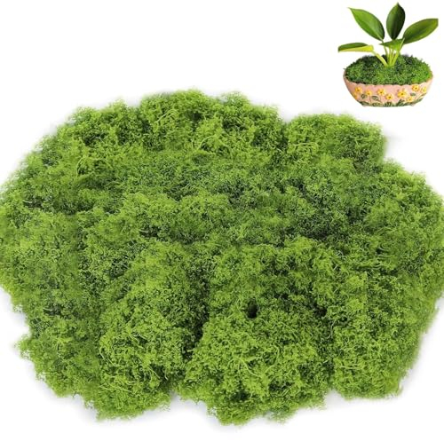 MOAZIFI Moos, 200g für Moosbilder, Moosbild, Kunstmoos, Kunst Moos,Kunstmoos zum Basteln, Mooswand, für Wand Krippe Aquarium Modellbau