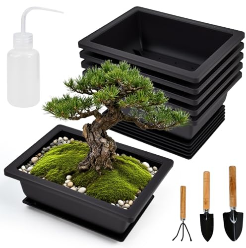 JNEYVIC 6 Pezzi Vaso Bonsai Rettangolo con Vassoio in Plastica con 4 Utensili da Giardino, Vasi per Bonsai e da Esterno Anti Umidità Vasi per Piante con Sottovaso per Casa/Giardino, 16,5CMx12CMx6CM
