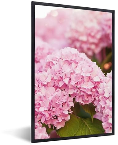 MuchoWow Poster Bilder Wanddeko Deko Wohnzimmer 20x30 cm Busch - Blumen - Rosa - Hortensie