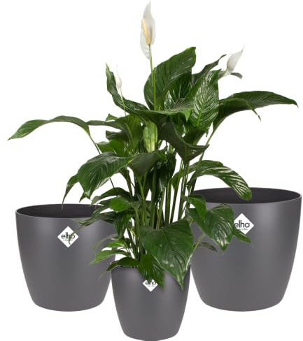 elho Brussels Rund 16,18,20 Blumentopf - Anthracite | ∅ 20 x H 19 cm | 3 Artikel Enthalten | für den Innenbereich