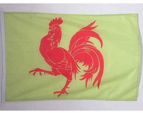 AZ FLAG Pavillon Wallonie 150x90 cm Wallon Maille Bloquée Anneaux Plastique | Usage extérieur et nautique Pavillon nautique résistant aux intempéries avec coutures doubles et bords renforcés
