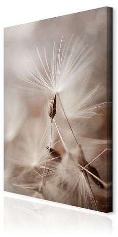 decomonkey Wandbilder Pusteblume 40x60 cm 1 Teilig Leinwandbilder Wanddeko | Strukturleinwand, Holzkeilrahmen, Bild auf Leinwand, Kunstdruck, Wohnzimmer, Wanddekoration, Löwenzahn, Pflanzen, Natur