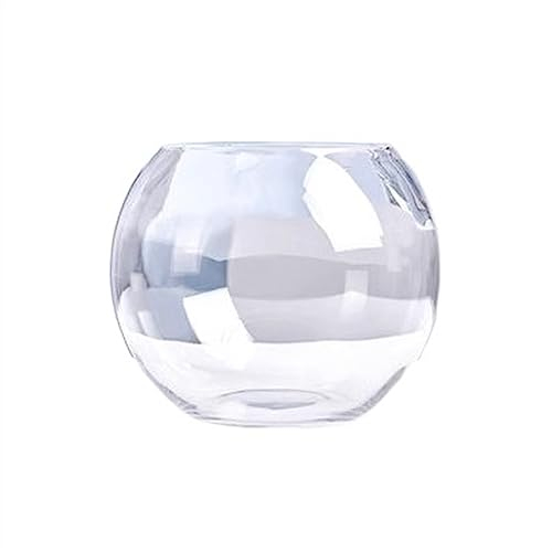 HASMI Büro Kleines Aquarium Verdicktes Transparentes Glas Aquarium Schildkröte Wohnzimmer Home Desktop Rundes Aquascape Kleines Goldfischbecken (Size : 002)