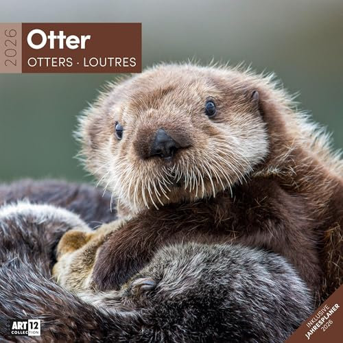 Otter Broschürenkalender 2026 - 30x30 - Art12 | Niedlicher Tier-Kalender im schlanken Hochformat (aufgeklappt 30x60 cm) | mit Eintrage-Kalendarium