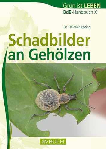 Schadbilder an Gehölzen: BdB-Handbuch X (avBuch im Cadmos Verlag: im Cadmos Verlag)