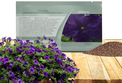 Outsidepride Alderman Petunia Seeds - 5000 Pcs. Annual, Compact & Pollinator Friendly Flower Seeds for Planting Low Growing Vibrant Blooms for Garden Beds, Hanging Baskets & Container Displays