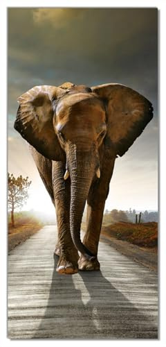 Wallario Selbstklebende Türtapete Elefant bei Sonnenaufgang in Afrika - Türposter 93 x 205 cm Abwischbar, rückstandsfrei zu entfernen