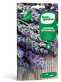 Eurogarden - Semillas Naturales de Lavanda Officinalis, Planta aromática para infusión, 0,5 g - 2610