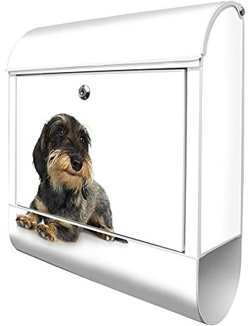 banjado® Design Briefkasten mit Dackel 38,5x46,5x13cm & 2 Schlüssel - Briefkasten Stahl weiß mit Zeitungsfach pulverbeschichtet - Postkasten A4 Einwurf inkl. Montagematerial