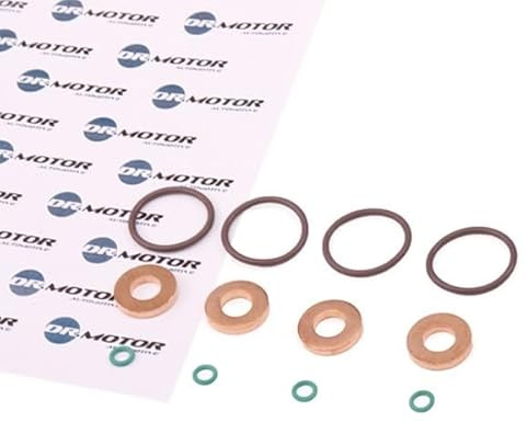Dr.motor Automotive DRM0194S - Dichtring, Düsenhalter