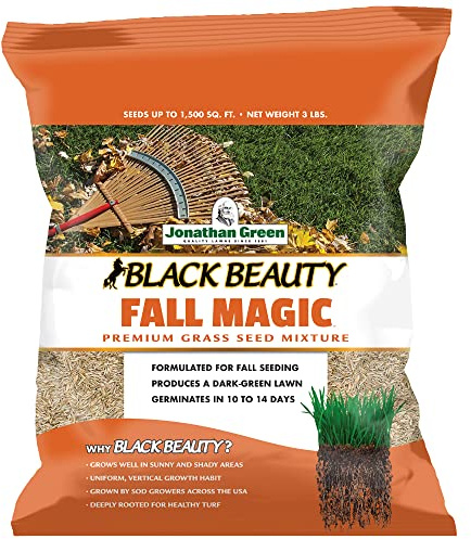 Jonathan Green (10765) Black Beauty Fall Magic Grass Seed - Cool Season Lawn Seed (3 lb)