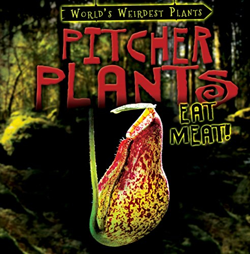 Pitcher Plants Eat Meat! (World's Weirdest Plants)