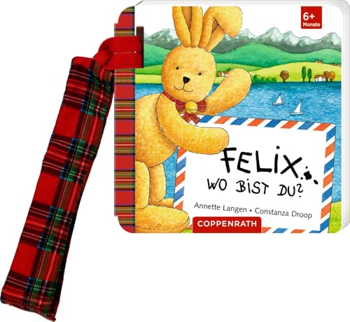 Felix, wo bist du? (Buggybuch)