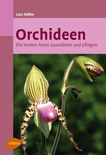 Orchideen: Die besten Arten auswählen und pflegen