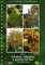 Guía de árboles, arbustos y planta de flor. 3ª ed (Jardinería)