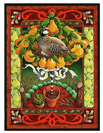 Trademark Fine Art Partridge in a Pear Tree Holly by David Galchutt, 14x19