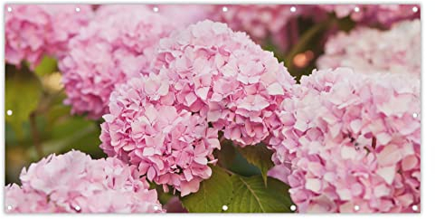 MuchoWow® Balkon Sichtschutz Sichtschutzmatte Balkonbanner Abdeckung für Terrasse Balkon Windschutz Blickdicht Wetterfest 200x110 cm Busch - Blumen - Rosa - Hortensie