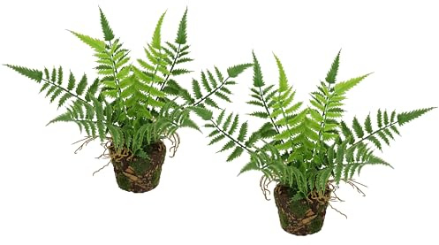 Künstlicher Waldfarn im Topf 23cm 2er Set Boston Farn Topfpflanze Büsche Pflanzen Blumen wie echt Deko Seidenpflanze Dekoration Grünpflanze Kunstpflanze Kunstblume Waldpflanze Zimmerpflanze, Waldfarn