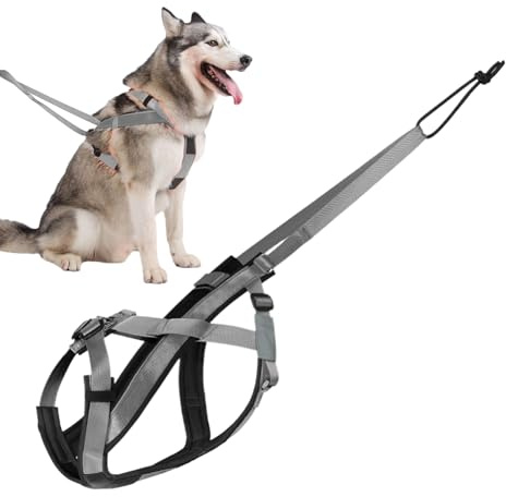 Jlkegfdf Zuggeschirr für Hunde | Reflektierendes Laufgeschirr für Hunde – Bequemer Verstellbarer Gurt für Spaziergänge, Sport, Training, Schlitten, Ziehen im Freien