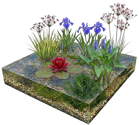 vdvelde․com - Plantas de estanque rojo 100-400 L, nenúfar, 24 uds
