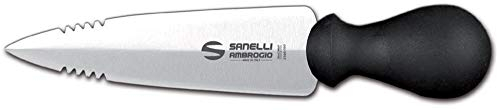 Ambrogio Sanelli - Supra - Coltello Grana Lancia, Ideale per Grana e Parmigiano. Manico Ergonomico in Polipropilene. Lama: Liscia, in Acciaio Inox. Cm: 15