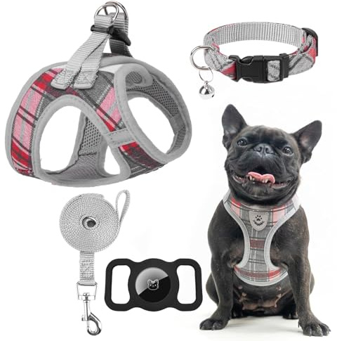 EXPAWLORER Hundegeschirr kleine Hunde mit Leine - Halsband und Leine Set, Hunde Geschirr Welpen mit AirTag Hülle, weiches reflektierendes Welpengeschirr kein Ziehen zum Spazierengehen, Grau XS